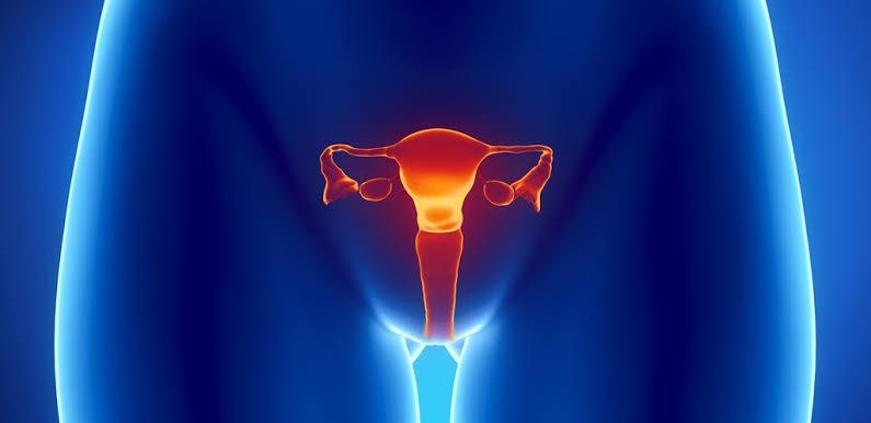 Endometriosis The Silent Disease That Can Steal a Woman’s Fertility Without Warning