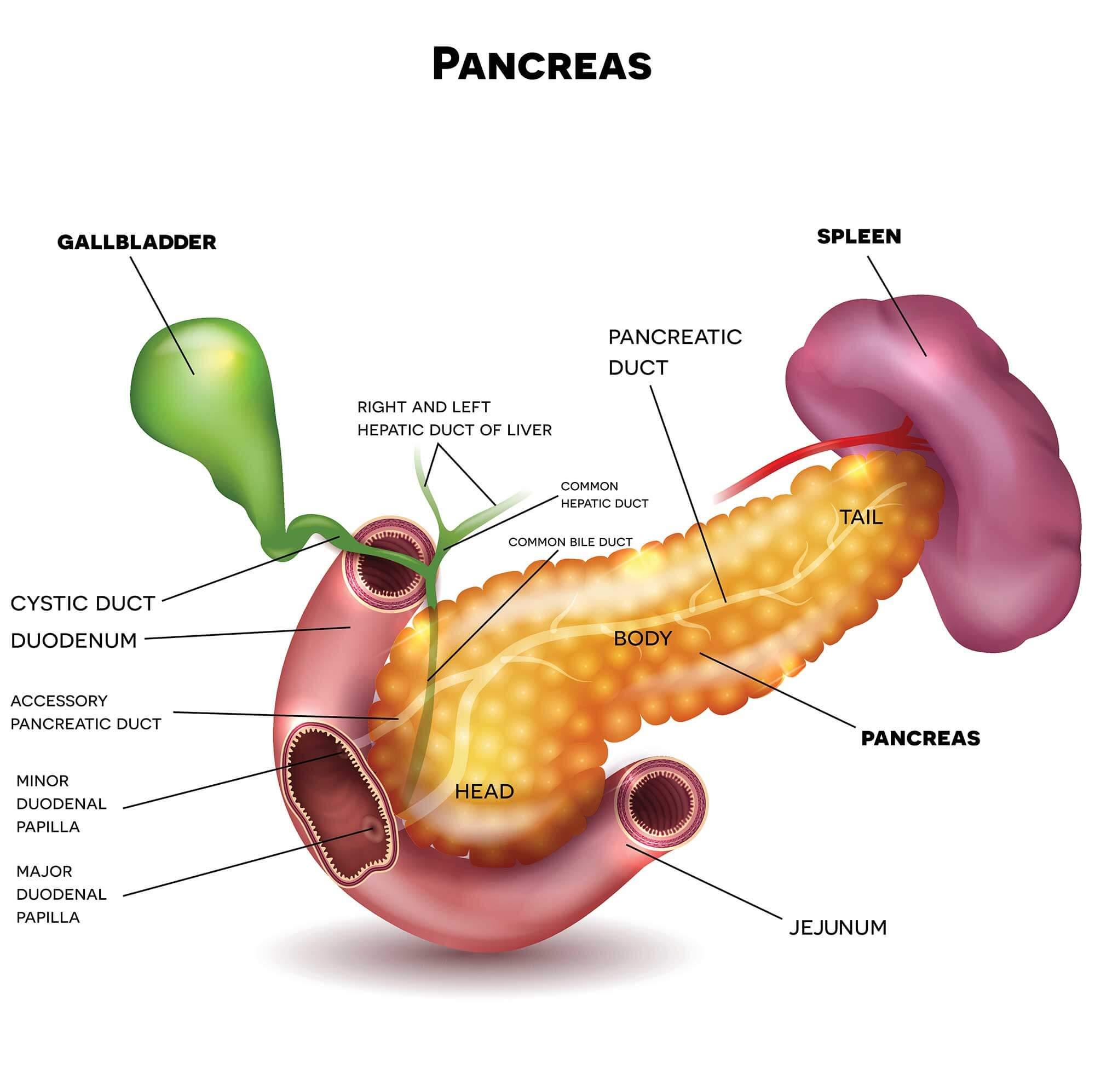 6 Critical Symptoms of Pancreatic Cancer You Can't Ignore
