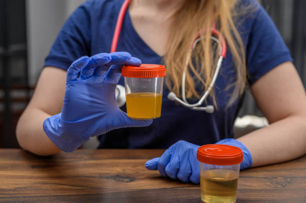 Is Human Urine Safe? What Science Really Says About Drinking or Using It